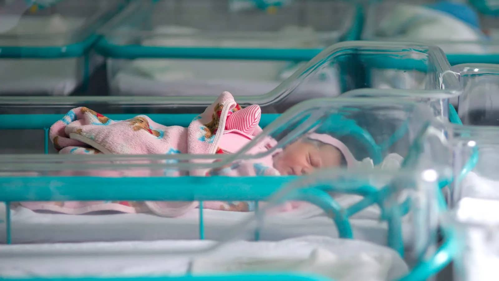 В Находке за неделю родились 17 малышей