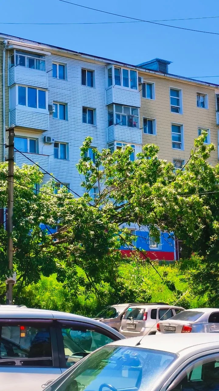 Жители Пограничной третий день ждут уборки упавшего на провода дерева