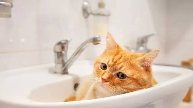 Завтра в Находке не будет воды весь день