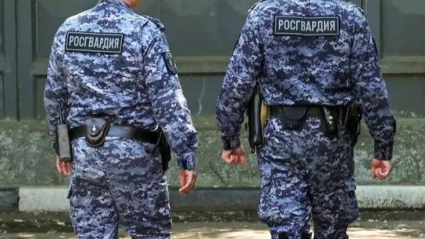 Житель Находки осуждён за нападение на сотрудника Росгвардии