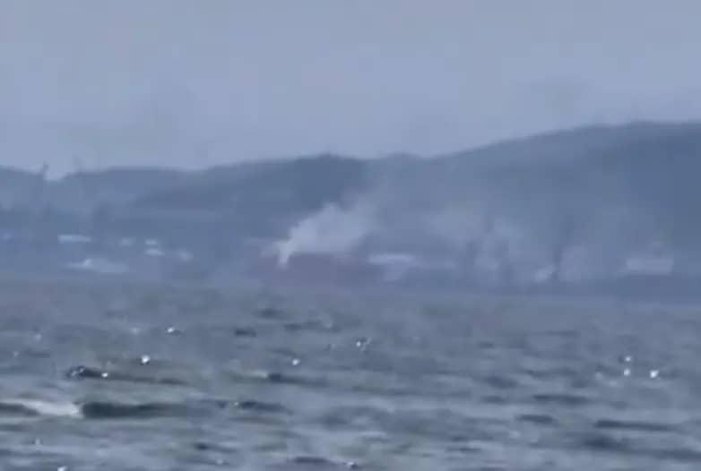Жители Находки сняли открытую разгрузку глинозёма с пляжа Волна