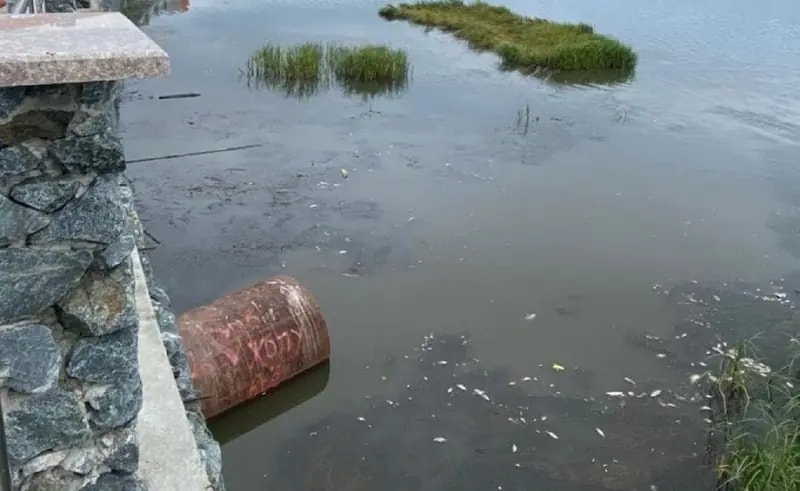Природоохранная прокуратура проверит сброс стоков в озеро Солёное в Находке